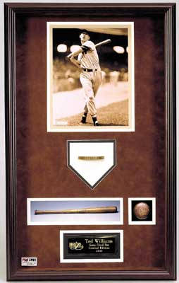 Ted Williams