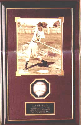 Ted Williams