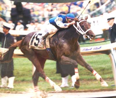 Smarty Jones - Stewart Elliot