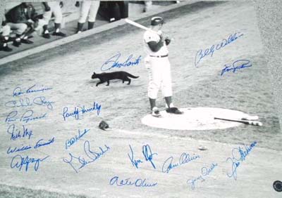 1969 Chicago Cubs