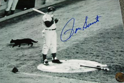 Ron Santo 1969 Black Cat