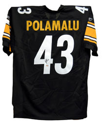 Troy Polamalu