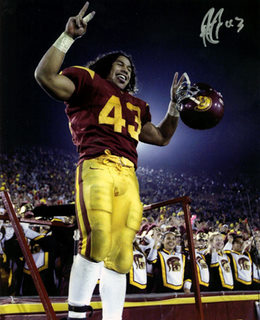 Troy Polamalu 