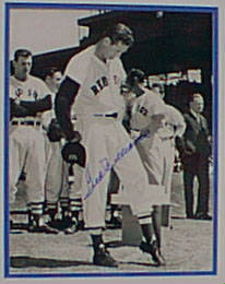 Ted Williams