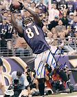 Anquan Boldin