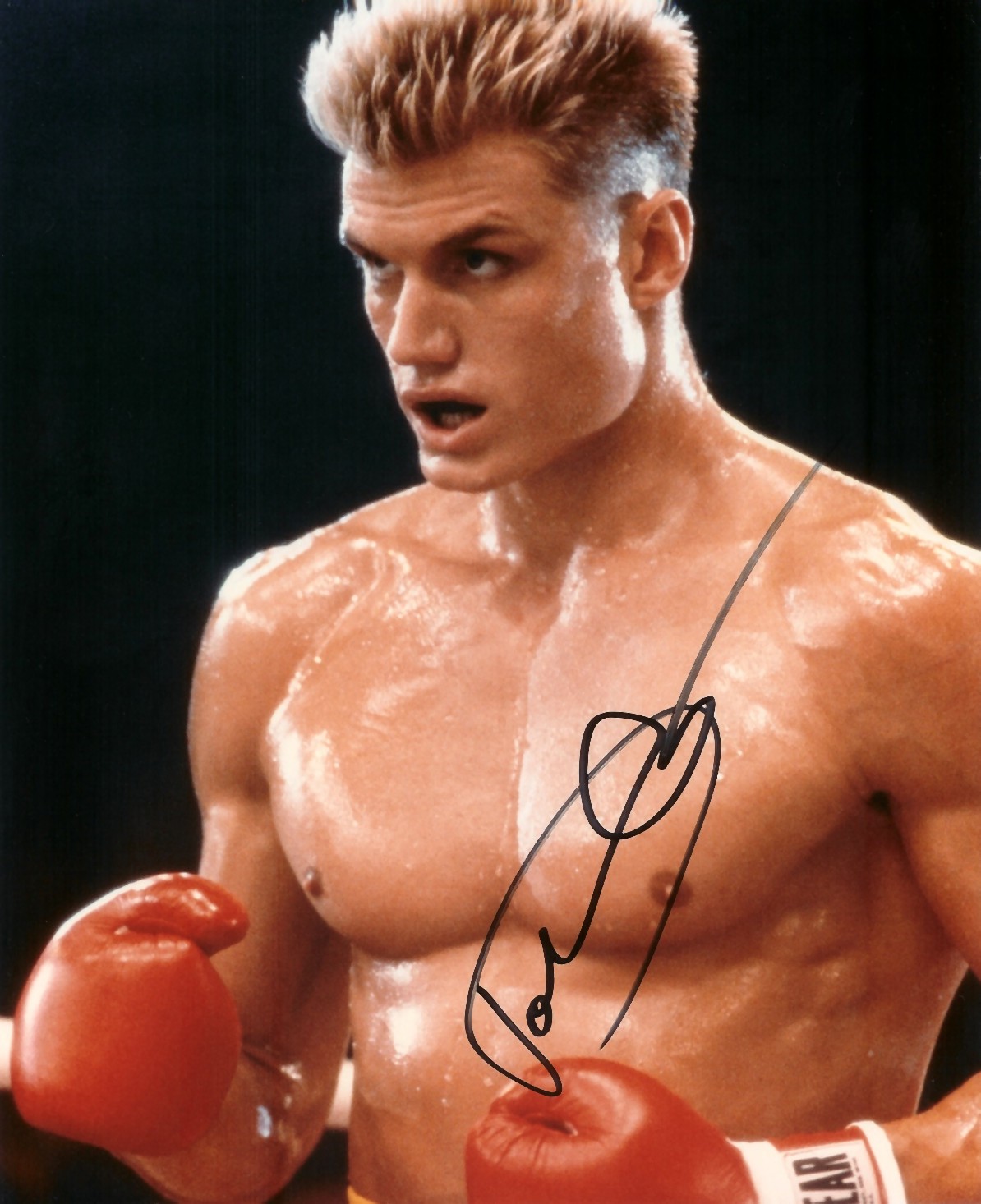 Dolph Lundgren