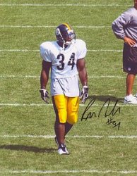 Rashard Mendenhall 