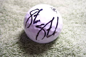 Steve Stricker