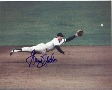 Graig Nettles