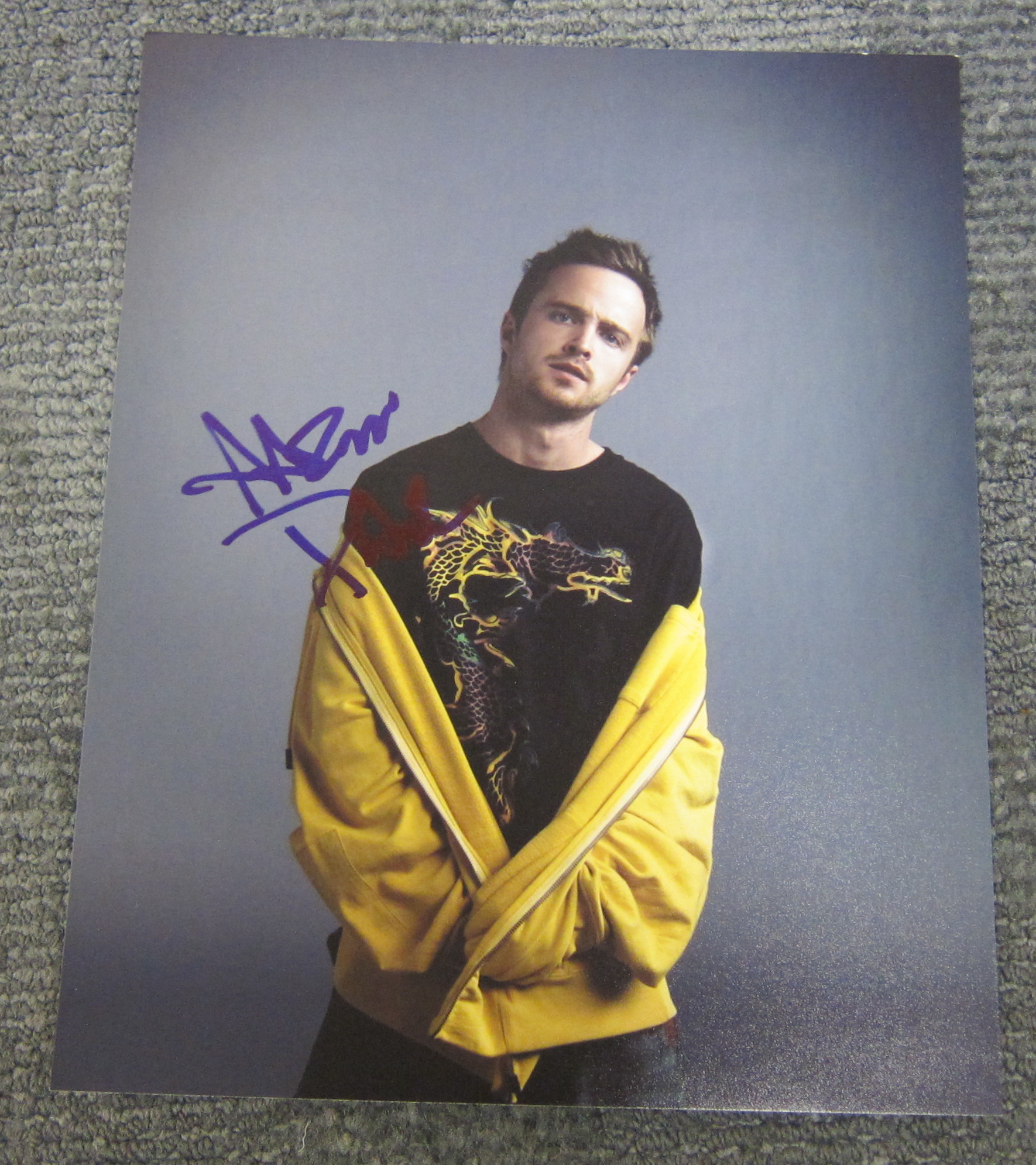 Aaron Paul - Breaking Bad