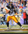 Troy Polamalu