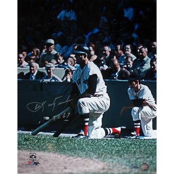 Carl Yastrzemski