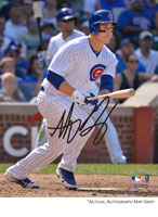 Anthony Rizzo