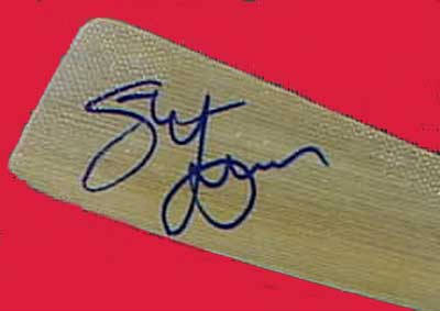 Steve Yzerman