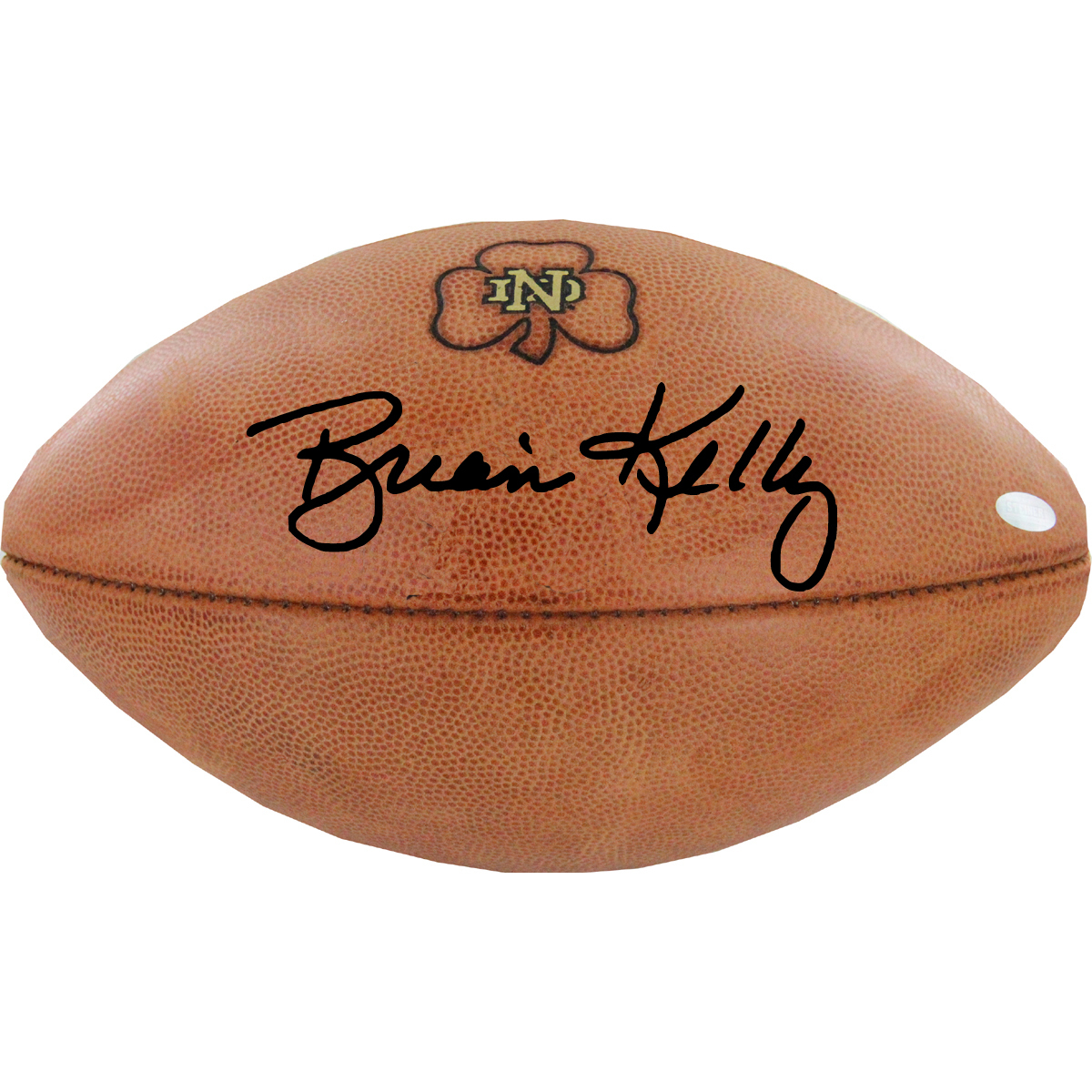 Brian Kelly Notre Dame Fighting Irish