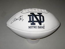 Theo Riddick Notre Dame Fighting Irish