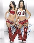 Nikki & Brie Bella