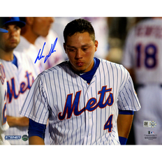 Wilmer Flores