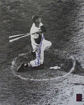 Ted Williams