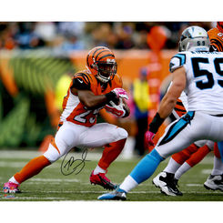 Giovani Bernard