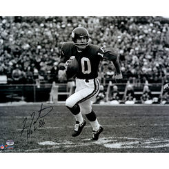 Fran Tarkenton