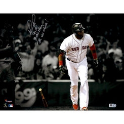 David Ortiz