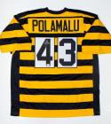 Troy Polamalu