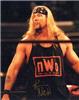 Kevin Nash autographed