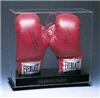 Double Boxing Glove Display autographed
