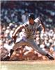 Signed Mickey Lolich