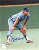 Signed Bob Horner