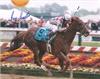 Jose Santos Aboard Funny Cide autographed