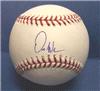 Signed Dontrelle Willis