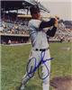 Signed  Dave Kingman