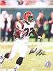 Rudi Johnson autographed