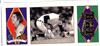 Signed Mark Fidrych
