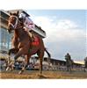 Signed Kent Desormeaux Aboard Big Brown