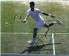 Signed  Novak Djokovic