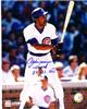 Signed Andre Dawson