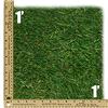 Signed 1 x 1 Piece of Authentic Sod from the Original Yankee Stadium 