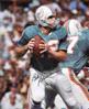 Signed Bob Griese