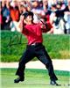 Signed Tiger Woods