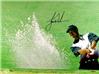 Tiger Woods autographed