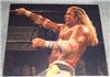 Mickey Rourke "The Wrestler" autographed