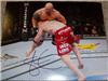 Signed Shane Carwin 