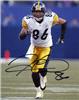 Hines Ward autographed