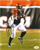 Signed Cedric Benson