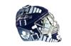 Signed Felix Potvin