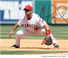 Albert Pujols autographed