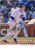 Signed Anthony Rizzo